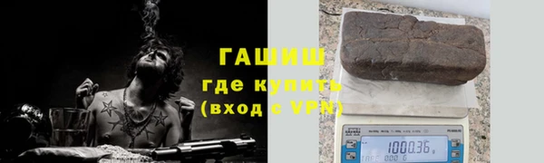 прущие грибы Дмитров