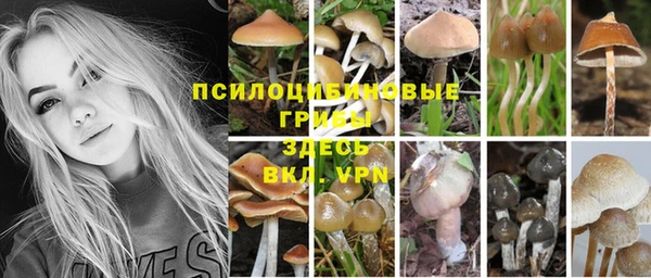 мдпв Горно-Алтайск