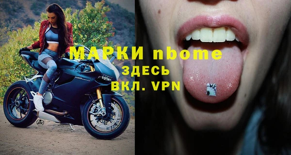 прущие грибы Дмитров